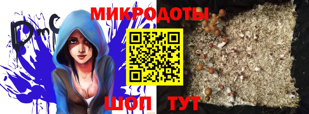 Галлюциногенные грибы Psilocybe Фурманов