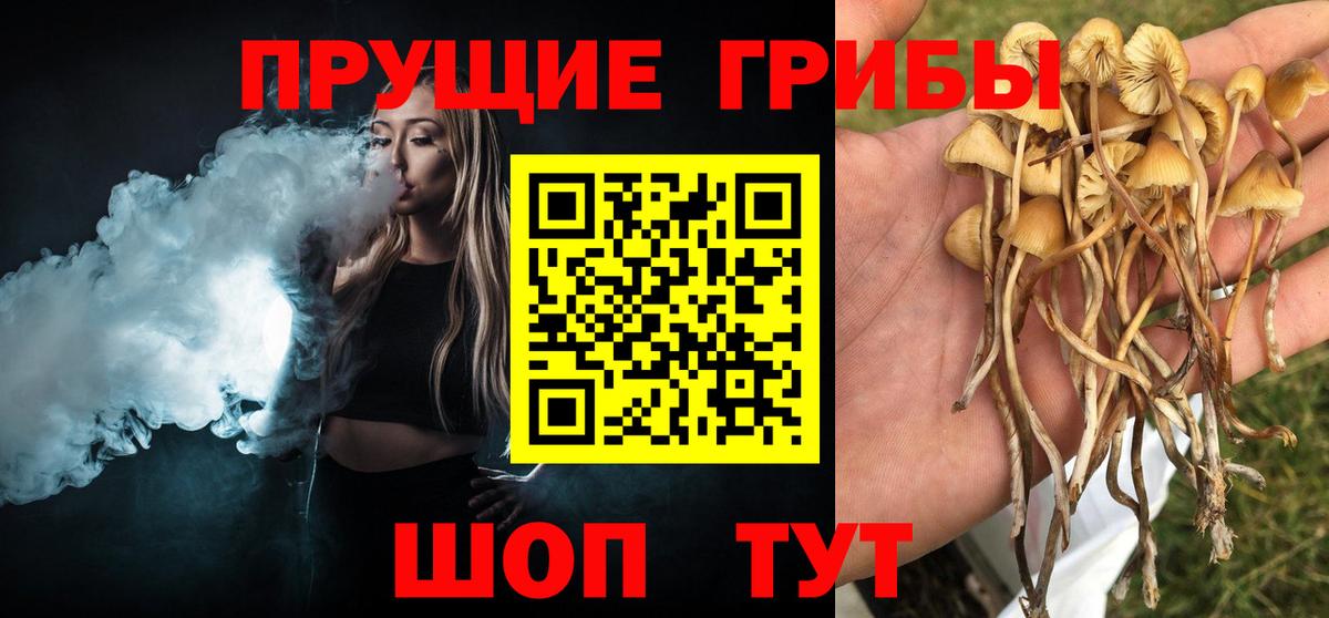 Фурманов  Псилоцибиновые грибы Magic Shrooms  Вход с VPN 