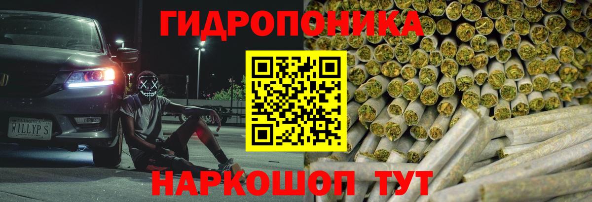 Бошки марихуана ГИДРОПОН  Бошки Шишки сатива  Фурманов  МАРИХУАНА Amnesia  Вход с VPN 